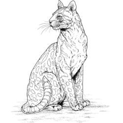 Раскраска: леопард (Животные) #9806 - Бесплатные раскраски для печати