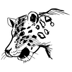 Раскраска: леопард (Животные) #9807 - Бесплатные раскраски для печати