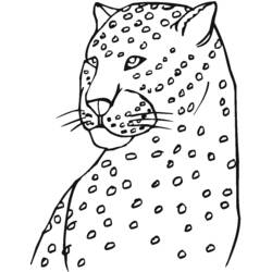 Раскраска: леопард (Животные) #9814 - Бесплатные раскраски для печати