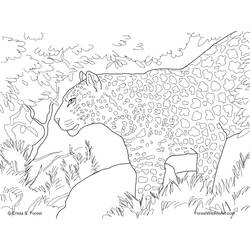 Раскраска: леопард (Животные) #9821 - Бесплатные раскраски для печати