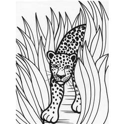 Раскраска: леопард (Животные) #9825 - Бесплатные раскраски для печати
