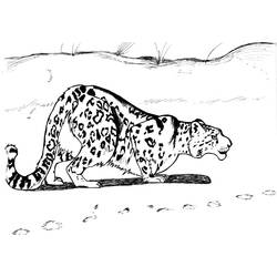 Раскраска: леопард (Животные) #9836 - Бесплатные раскраски для печати