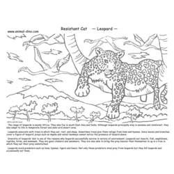 Раскраска: леопард (Животные) #9858 - Бесплатные раскраски для печати
