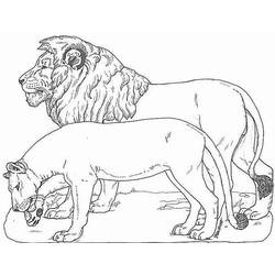 Раскраска: лев (Животные) #10241 - Бесплатные раскраски для печати