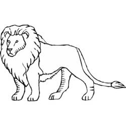 Раскраска: лев (Животные) #10292 - Бесплатные раскраски для печати