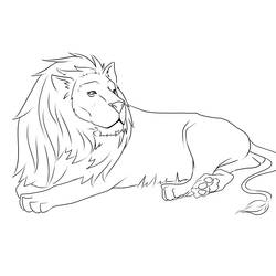 Раскраска: лев (Животные) #10299 - Бесплатные раскраски для печати
