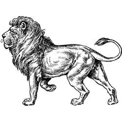 Раскраска: лев (Животные) #10318 - Бесплатные раскраски для печати