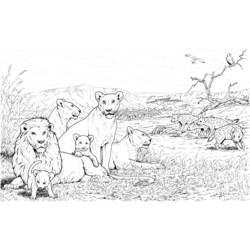 Раскраска: лев (Животные) #10342 - Бесплатные раскраски для печати