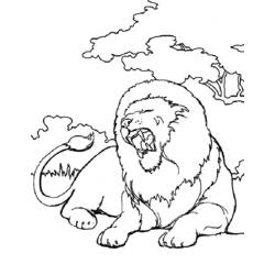 Раскраска: лев (Животные) #10360 - Бесплатные раскраски для печати