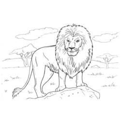 Раскраска: лев (Животные) #10379 - Бесплатные раскраски для печати