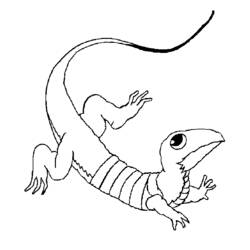 Раскраска: ящериц (Животные) #22295 - Бесплатные раскраски для печати