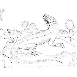 Раскраска: ящериц (Животные) #22315 - Бесплатные раскраски для печати
