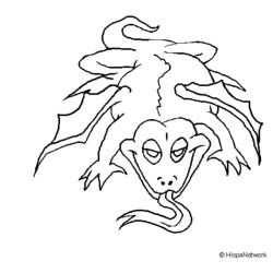 Раскраска: ящериц (Животные) #22318 - Бесплатные раскраски для печати