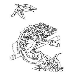 Раскраска: ящериц (Животные) #22330 - Бесплатные раскраски для печати