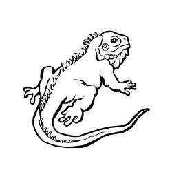 Раскраска: ящериц (Животные) #22338 - Бесплатные раскраски для печати