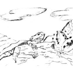 Раскраска: ящериц (Животные) #22373 - Бесплатные раскраски для печати