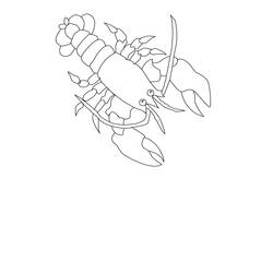 Раскраска: омар (Животные) #22490 - Бесплатные раскраски для печати