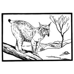 Раскраска: рысь (Животные) #10805 - Бесплатные раскраски для печати