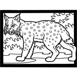 Раскраска: рысь (Животные) #10810 - Бесплатные раскраски для печати