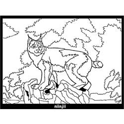 Раскраска: рысь (Животные) #10814 - Бесплатные раскраски для печати