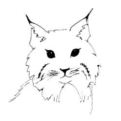 Раскраска: рысь (Животные) #10841 - Бесплатные раскраски для печати