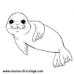 Раскраска: Морские животные (Животные) #21994 - Бесплатные раскраски для печати