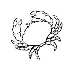 Раскраска: Морские животные (Животные) #21998 - Бесплатные раскраски для печати