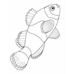Раскраска: Морские животные (Животные) #22016 - Бесплатные раскраски для печати