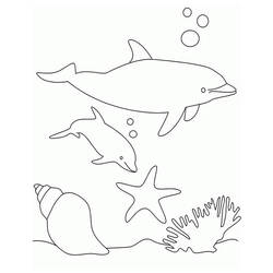 Раскраска: Морские животные (Животные) #22018 - Бесплатные раскраски для печати