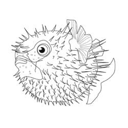 Раскраска: Морские животные (Животные) #22034 - Бесплатные раскраски для печати
