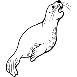 Раскраска: Морские животные (Животные) #22065 - Бесплатные раскраски для печати