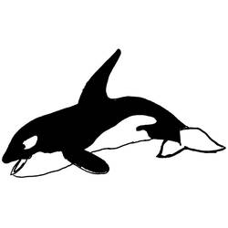 Раскраска: Морские животные (Животные) #22084 - Бесплатные раскраски для печати