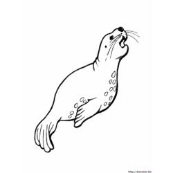 Раскраска: Морские животные (Животные) #22145 - Бесплатные раскраски для печати