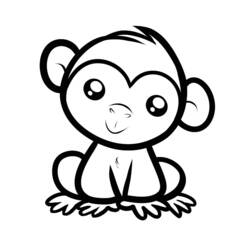 Раскраски: обезьяна - Бесплатные раскраски для печати
