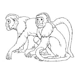 Раскраска: обезьяна (Животные) #14177 - Бесплатные раскраски для печати