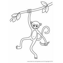 Раскраска: обезьяна (Животные) #14184 - Бесплатные раскраски для печати