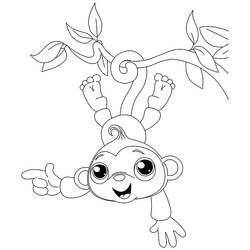 Раскраска: обезьяна (Животные) #14193 - Бесплатные раскраски для печати