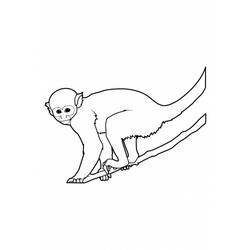 Раскраска: обезьяна (Животные) #14225 - Бесплатные раскраски для печати