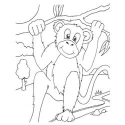 Раскраска: обезьяна (Животные) #14252 - Бесплатные раскраски для печати