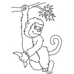 Раскраска: обезьяна (Животные) #14254 - Бесплатные раскраски для печати