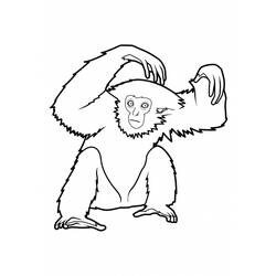 Раскраска: обезьяна (Животные) #14261 - Бесплатные раскраски для печати