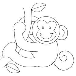 Раскраска: обезьяна (Животные) #14276 - Бесплатные раскраски для печати
