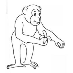 Раскраска: обезьяна (Животные) #14291 - Бесплатные раскраски для печати