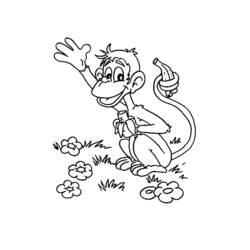 Раскраска: обезьяна (Животные) #14300 - Бесплатные раскраски для печати