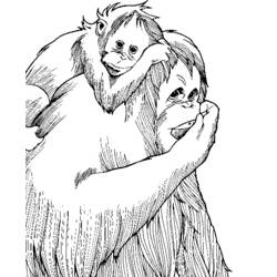 Раскраска: обезьяна (Животные) #14333 - Бесплатные раскраски для печати