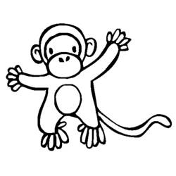 Раскраска: обезьяна (Животные) #14335 - Бесплатные раскраски для печати