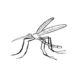 Раскраска: комар (Животные) #11326 - Бесплатные раскраски для печати