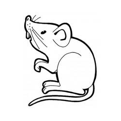 Раскраска: мышь (Животные) #13937 - Бесплатные раскраски для печати