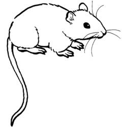 Раскраска: мышь (Животные) #13941 - Бесплатные раскраски для печати