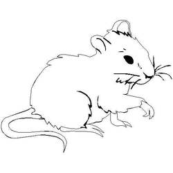 Раскраска: мышь (Животные) #13943 - Бесплатные раскраски для печати